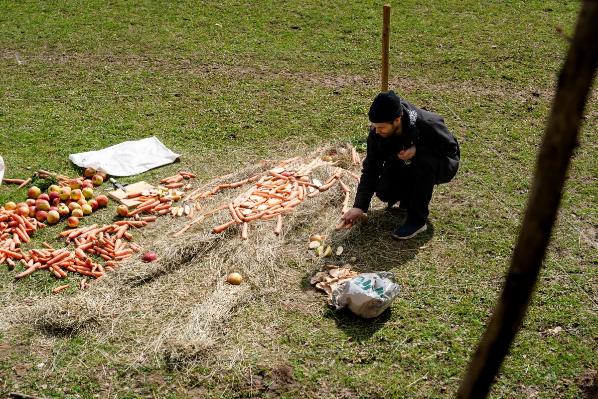 20250511_Nima Sarabi__DSC3280.jpg