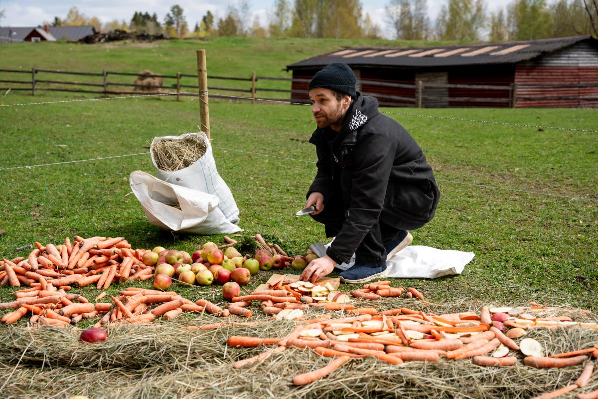 20250511_Nima Sarabi__DSC3269.jpg