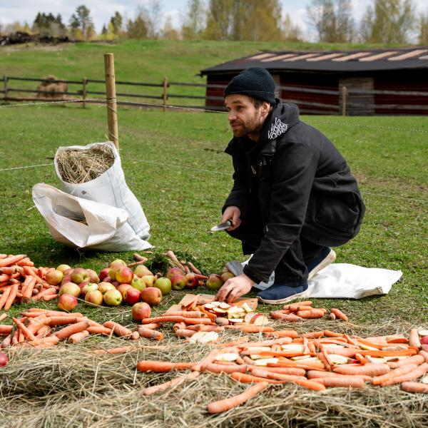 20250511_Nima Sarabi__DSC3269.jpg